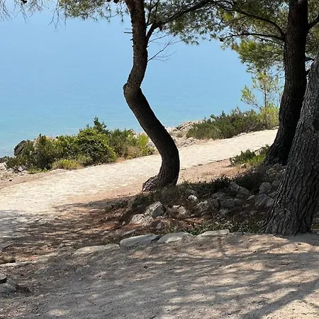 Ljubica Daire *