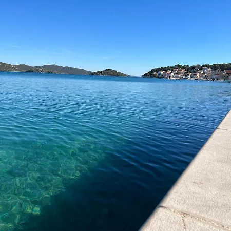 Ljubica Daire *